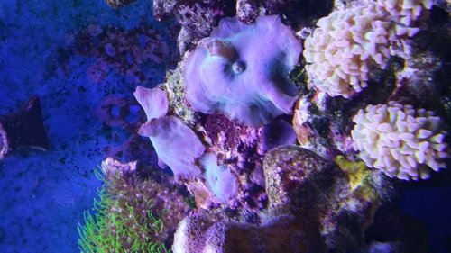 20150213_160807.jpg