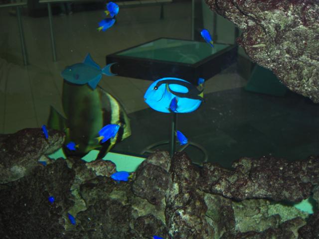 CIMG0263 (Small).JPG