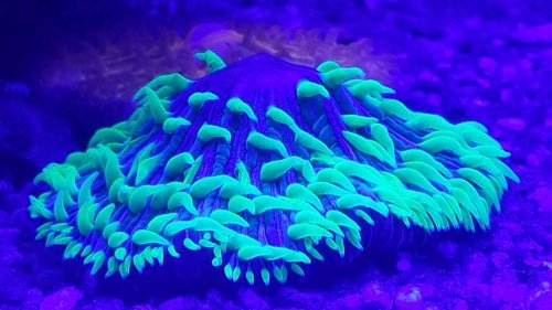 20150214_001008.jpg