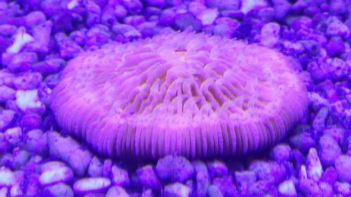 20150214_110847.jpg
