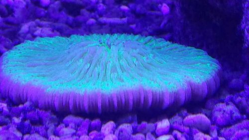 20150214_110856.jpg