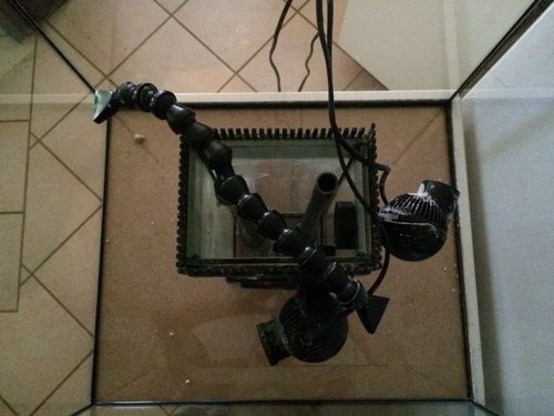 Akvariet set oppe fra