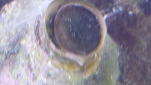 20150217_181541.jpg