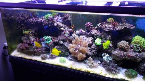 20150219_160025.jpg