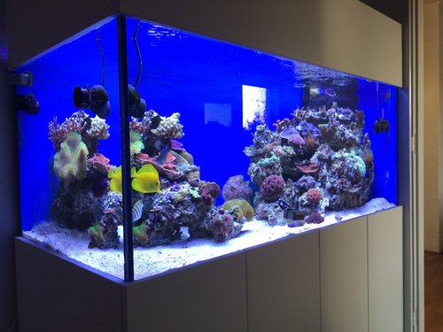 IMG_5844.jpg (152.14 KiB) Vist 2447 gange Set fra hjørnet.