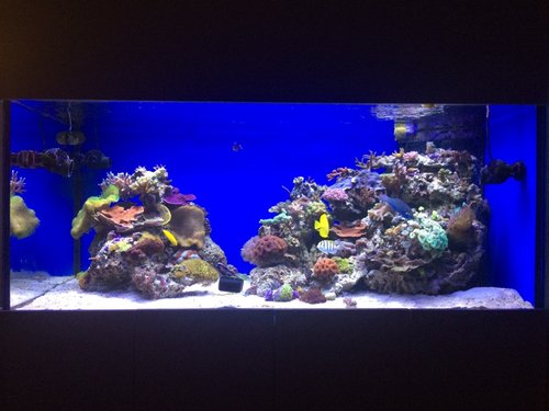 IMG_5854.jpg (138.01 KiB) Vist 2447 gange Set forfra