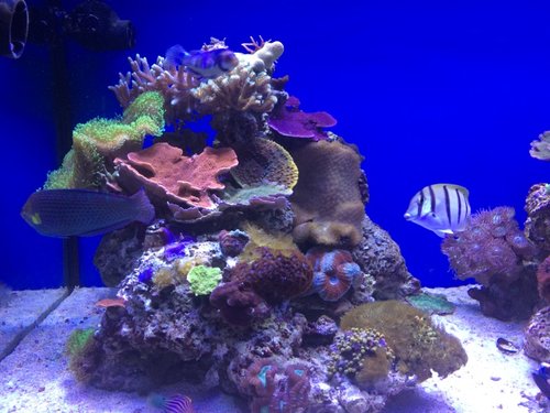 IMG_5855.jpg (173.25 KiB) Vist 2447 gange Søjlen t.v.