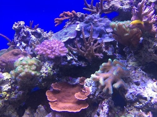 IMG_5857.jpg (154.8 KiB) Vist 2447 gange Bjerget t.h.