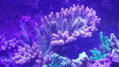 20150220_113903.jpg