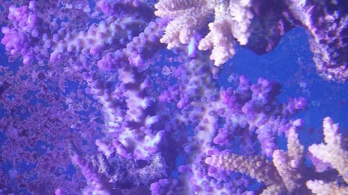 20150220_115438.jpg