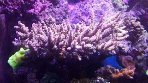 20150220_121750.jpg
