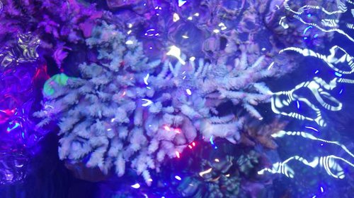20150220_121833.jpg