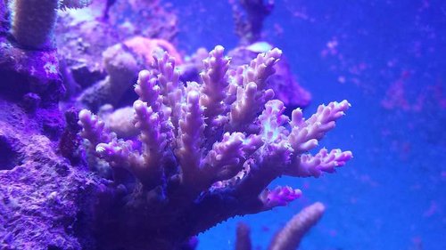 20150220_123249.jpg
