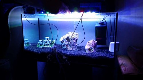 20150222_215244.jpg