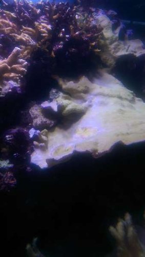 IMAG0526.jpg