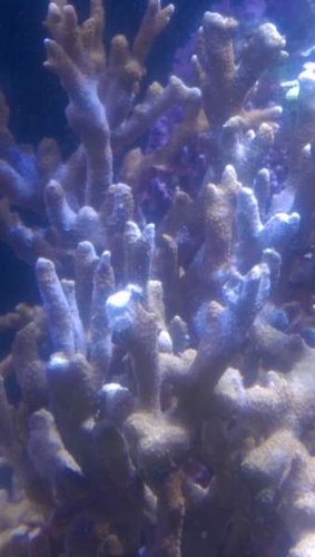 IMAG0525.jpg