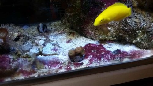 20150304_163831.jpg