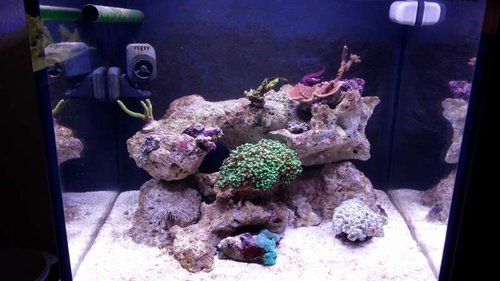 Selve akvariet