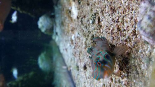 20150315_190759.jpg