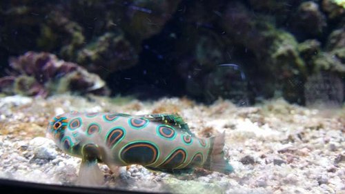 20150315_190833.jpg
