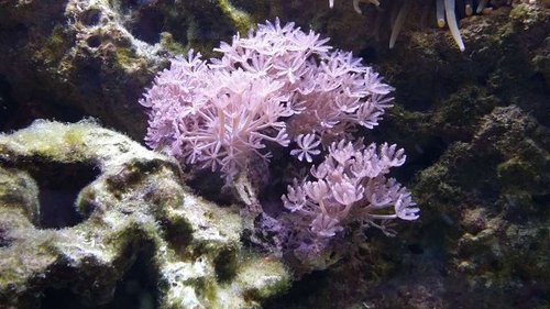 20150315_195632.jpg