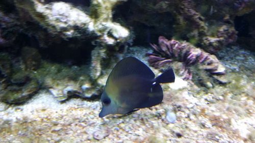 20150315_200043.jpg
