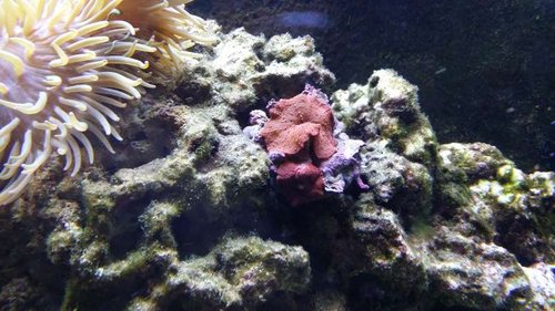 20150315_200232.jpg
