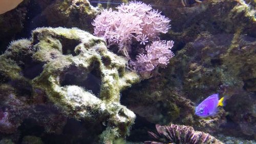20150315_200241.jpg