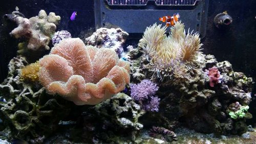 20150316_194724.jpg