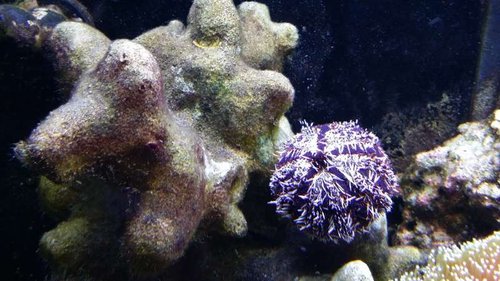 20150316_194745.jpg