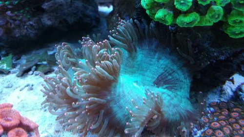 20150318_192918.jpg
