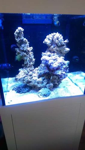 IMAG0729.jpg