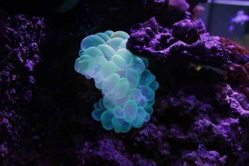 IMG_9287.JPG