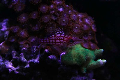 IMG_9292.JPG