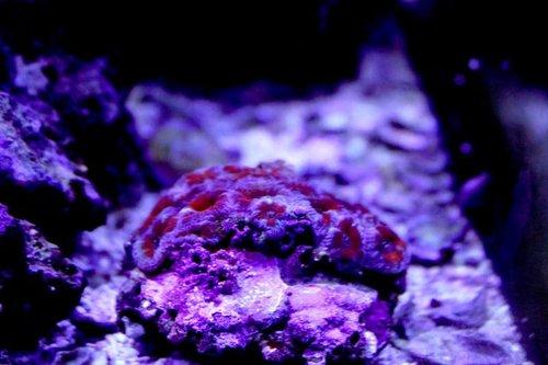 IMG_9310.JPG