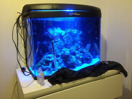 akvarie + basket 007 (2).jpg