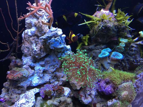 IMG_0180 (2).jpg
