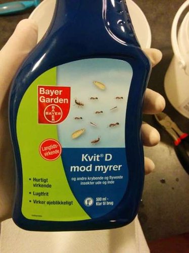 bayer.jpg