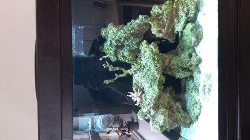 20150328_103642.jpg (34.71 KiB) Vist 9463 gange fra 28/3