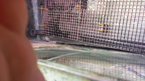 20150329_124250.jpg