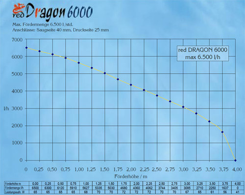 dragon6000daten.jpg