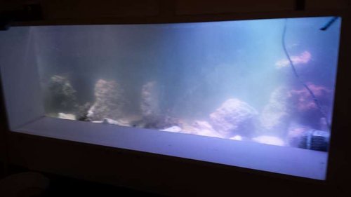 20150405_214543.jpg
