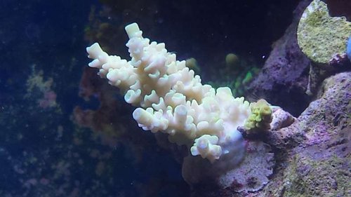 20150412_141718.jpg