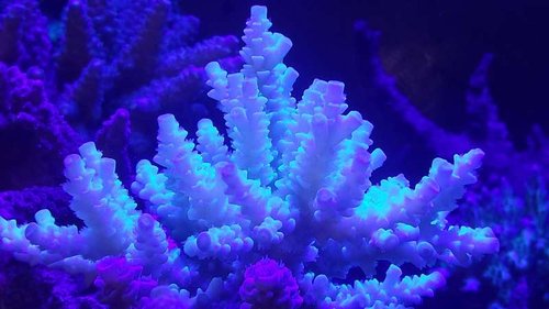 20150414_100413.jpg