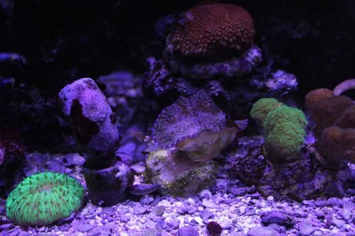 IMG_9336.JPG