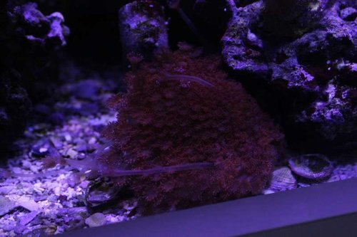 IMG_9340.JPG