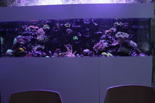 IMG_9344.JPG
