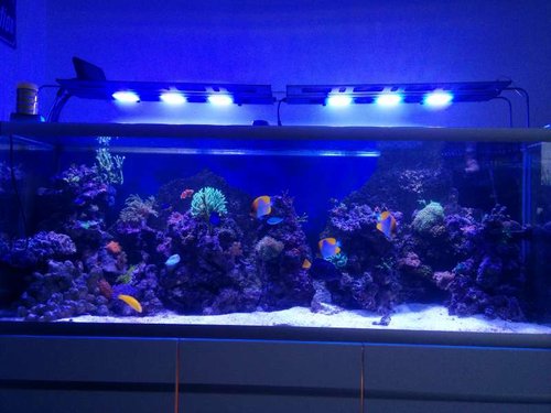 IMG_20150429_194617[1].jpg