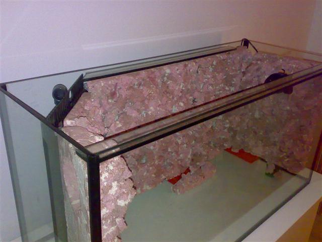 11102007263 (Small) (Small).jpg