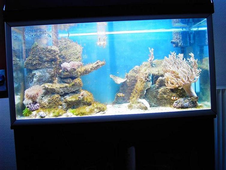 PICT3279 (Medium).JPG